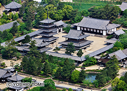 Buddhist Buildings in the Horyu-ji area