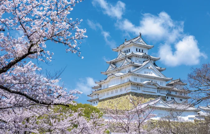 桜と姫路城