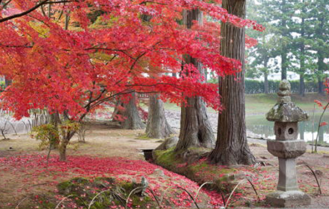 大泉ケ池と紅葉