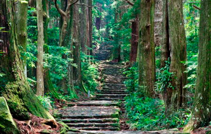 熊野古道(撮影：富井義夫)