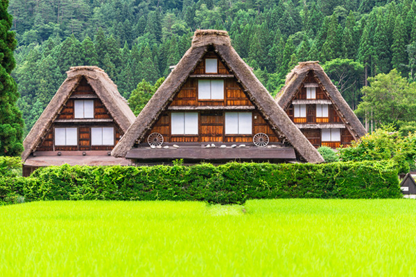 白川鄉與五箇山的合掌造聚落